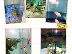 -常州海昌海洋探索馆