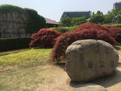 -嘉定紫藤园
