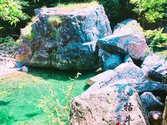 -祁门牯牛降观音堂风景区