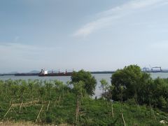 -扬子江公园