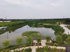 -千年枣林游览区