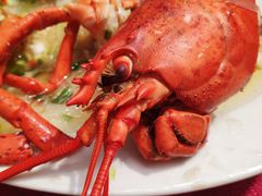 -北京民族园葉子里酒店(鸟巢店)