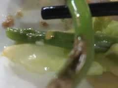 -重庆火锅水库鱼庄(南油店)