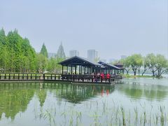 -渤公岛生态公园