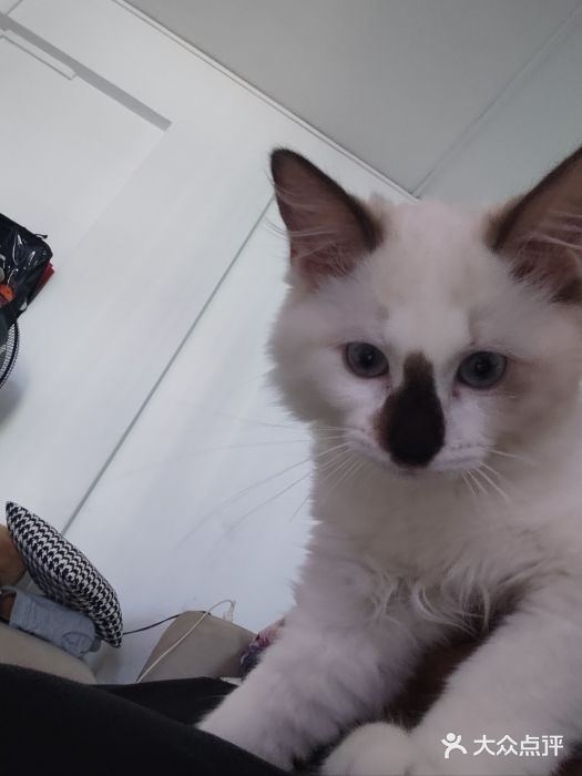 旺爷砂锅·茶作(国贸城店)图片