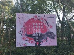 -自然谷恐龙园