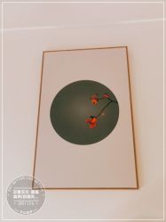 -汉棠汉方·美肤调体