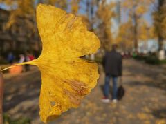 -两江幸福广场