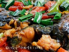 -柴火农家饭(遇龙河店)
