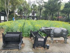 稻香村-朱家角课植园