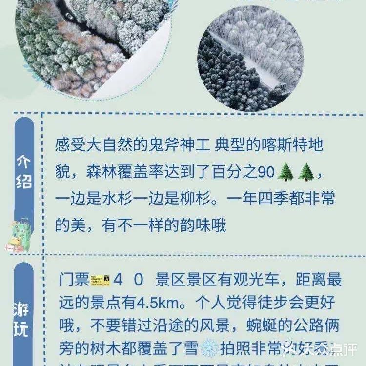 重庆旅游｜重庆超强玩雪指南️️ 冬天来了怎们能够不玩