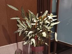 -面辣子·陕西家乡菜(长安店)