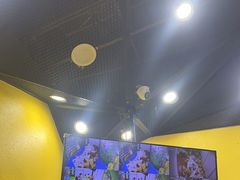 -杨梅红艺术教育(万象城校区)