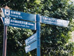 -三鹰之森吉卜力美术馆