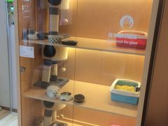 -Pets First伊珊娜洗护·精致美容·家庭式寄养(新会路店)