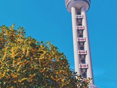 -东方明珠广播电视塔