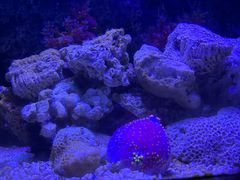 -北戴河圣蓝海洋公园