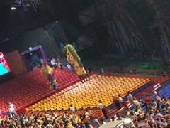 -广州长隆国际大马戏