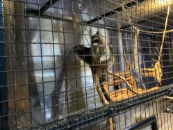 -酷嗒动物文化乐园(cutezoo西溪乐天城店)