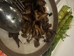 -蝶舍·MAISON PAPILLON