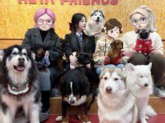 -和它·交个朋友·狗咖猫咖(爱琴海店)