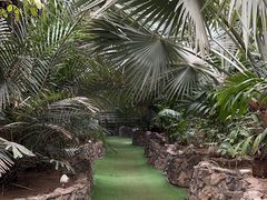 -呀路古热带植物园