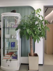 -联合丽格·张菡丽格医疗美容