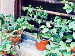 -归觅·西关小姐人文艺术馆(荔枝湾店)