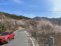 -妙峰山风景名胜区