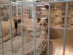 -三旗百汇商品城