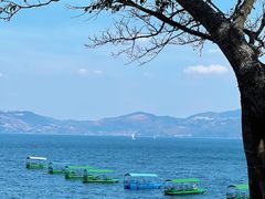 -抚仙湖禄充风景区