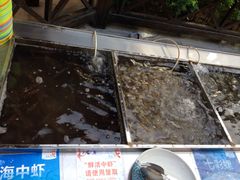 -渔家火锅·海鲜自助餐·演艺(亚龙湾天域酒店)