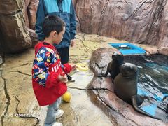 -海合安成都极地海洋公园
