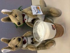 -Gloria Jean's Coffees