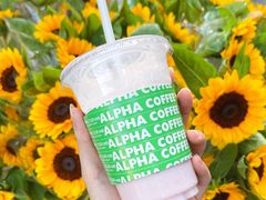 -ALPHA COFFEE阿尔法咖啡(虹泉路店)
