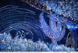 点击看大图 -三色锦婚礼定制