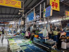 -霞涌市场海鲜摆卖区