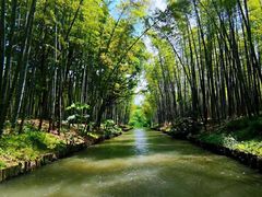 -同里国家湿地公园