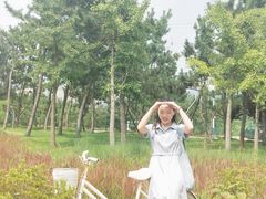 -羊亭河湿地公园