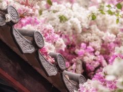 -深圳国际园林花卉博览园