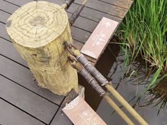 -西昌邛海湿地