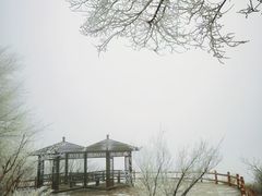 -大觉寺-停车场