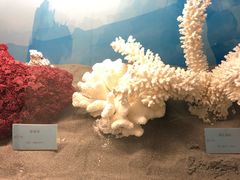 -常州海昌海洋探索馆