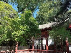 -碑林公园