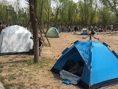 -东郊湿地公园