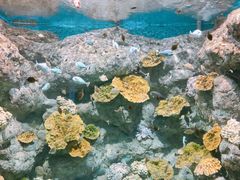 -福州罗源湾海洋世界旅游区