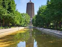 -玲珑塔公园