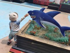 -芜湖新华联大白鲸海洋公园