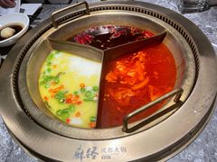 -麻路成都火锅(柏威年店)
