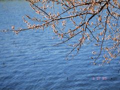 -颐和园